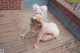 A naked woman with bunny ears and a donut in her mouth.
